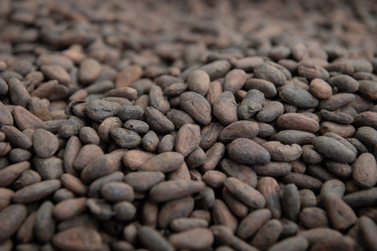When Cocoa Prices Fall: What It Means for Farmers in Koutou, Centre Region of Cameroon